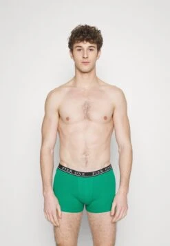 Pier One 5 PACK - Panties - Light Grey/black/green -Pier One Store 848816986ca24fbcb5e57aec8f8eb96c